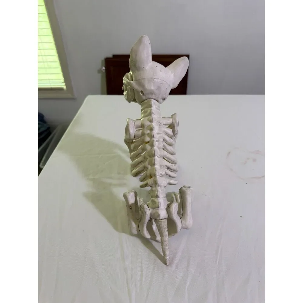 Vintage Halloween Skeleton Yard Decor Lot Dog, 2 Skulls, Spooky Prop Set